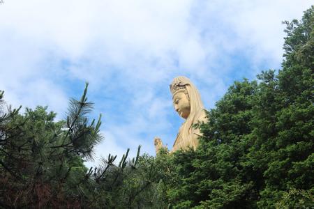 海天佛國(guó)普陀山、普濟(jì)寺、南海觀音 三天雙飛朝圣之旅PT-01